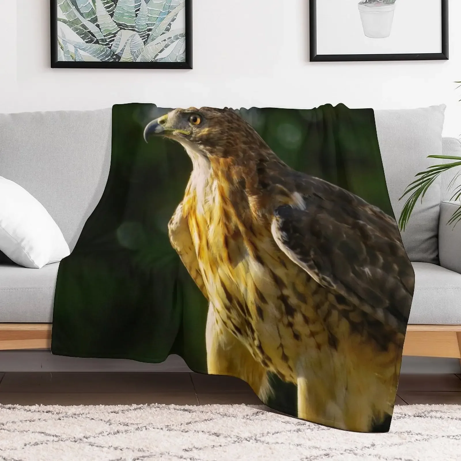 New Red-Tailed Hawk Throw Blanket Hairy Sofa Thins Weighted Blankets