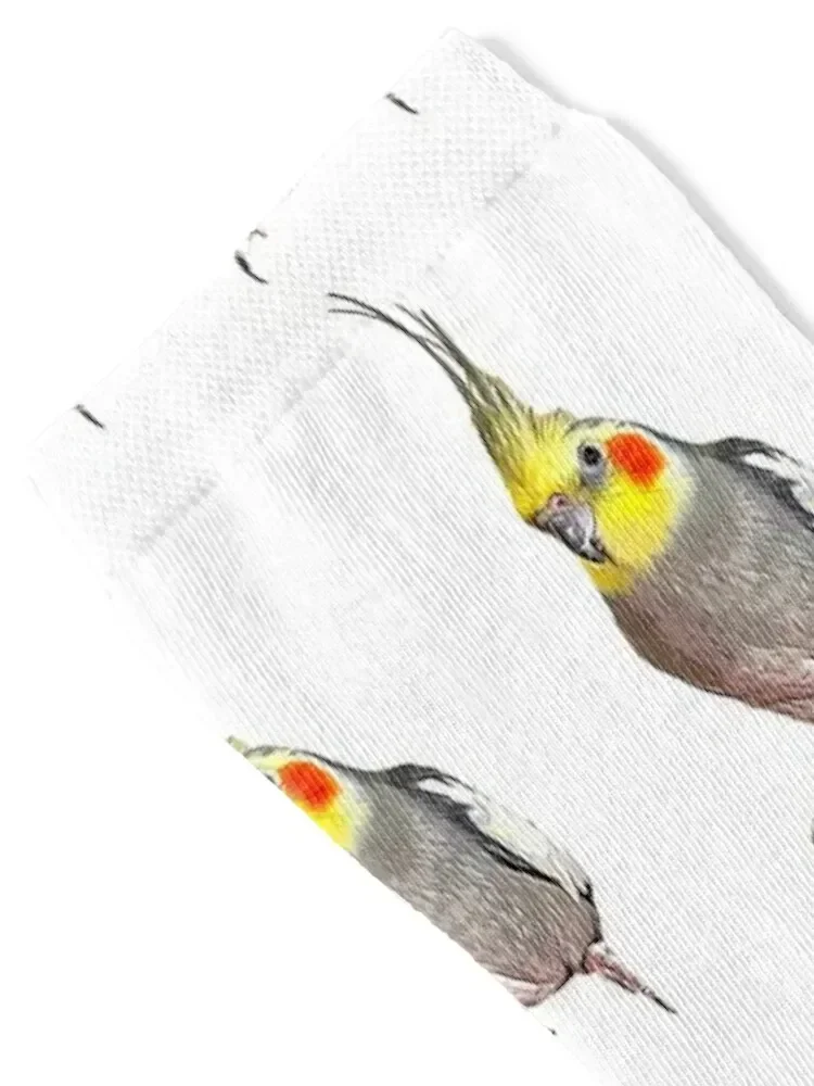 Cockatiel Cute Weiro Bird Socks sheer loose Ladies Socks Men's