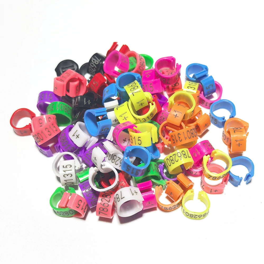 Anneaux de Pigeon de qualité professionnelle 8MM, 100 pièces, bandes de jambes gravées au Laser personnalisées pour Pigeons et pommes de course, anneaux de pied