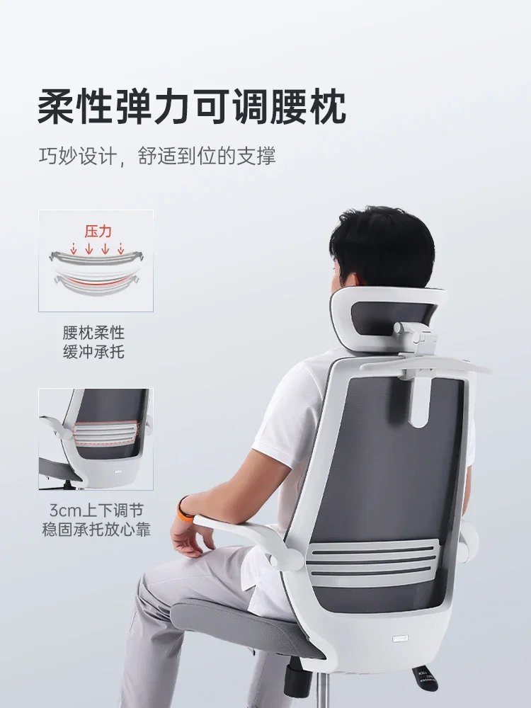 Silla de ordenador Silla de estudio para el hogar Escritorio ergonómico