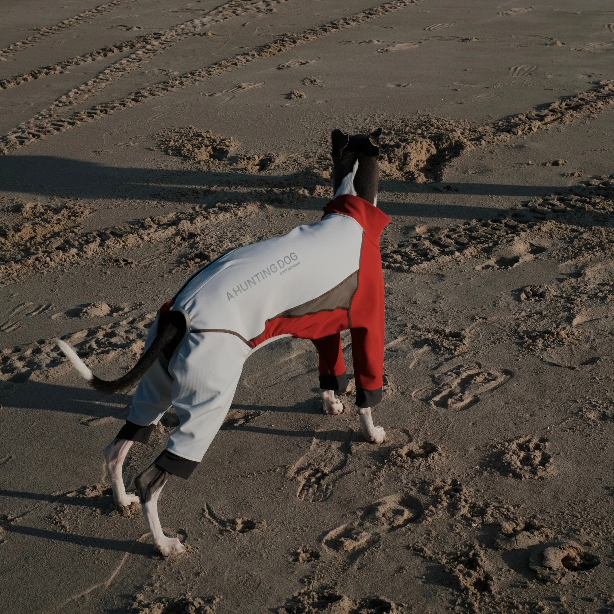 Winter Softshell Jumpsuit voor Honden met Vier Poten, Winddicht, Waterdicht, Fleece Gevoerd, Warme Sneeuwpak voor Whippet en Italiaanse Windhond
