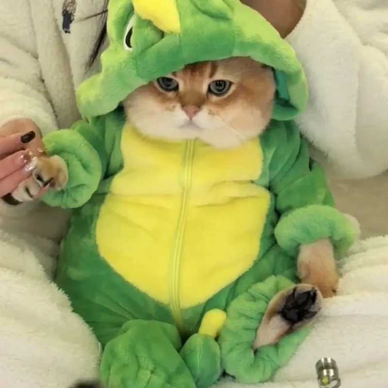 Dinosaur Cute Cat Clothes Teddy Dog Autumn/Winter Thick Flannel Four legged Clothes Pet Cute Transformation