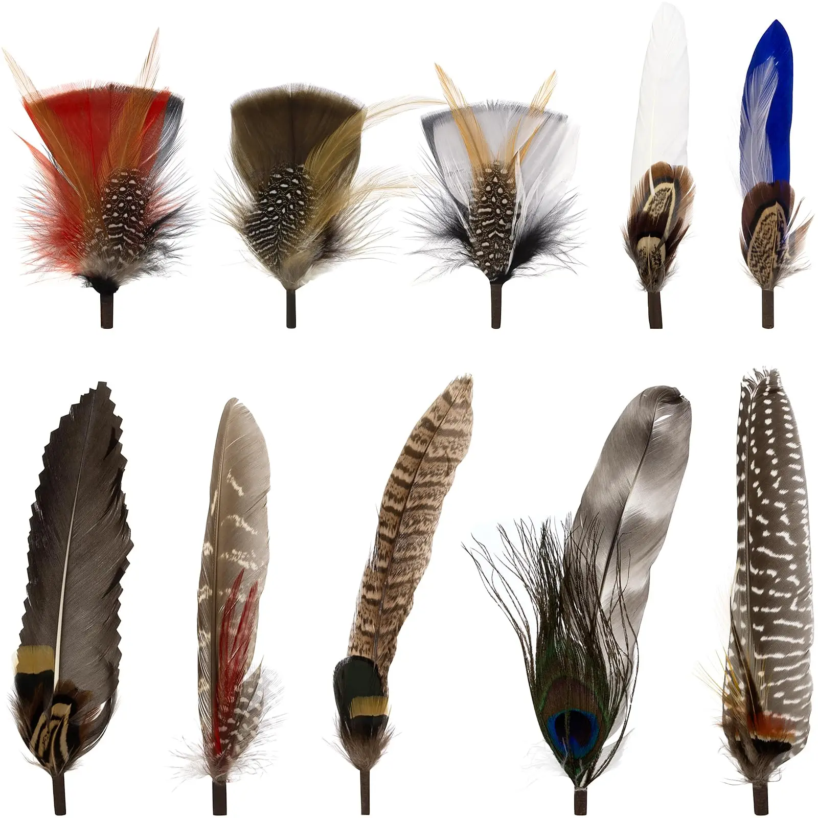

10-12Pcs Peacock Feather Feathers Colorful Real Natural for Cowboy Fedora Hats DIY Crafts Party Decorations