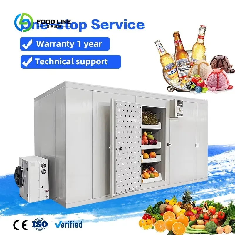 Hot Sale Customized Ice Cold Room Manufacturer - Commercial Walk in Cooler for Fish Storage & Preservation