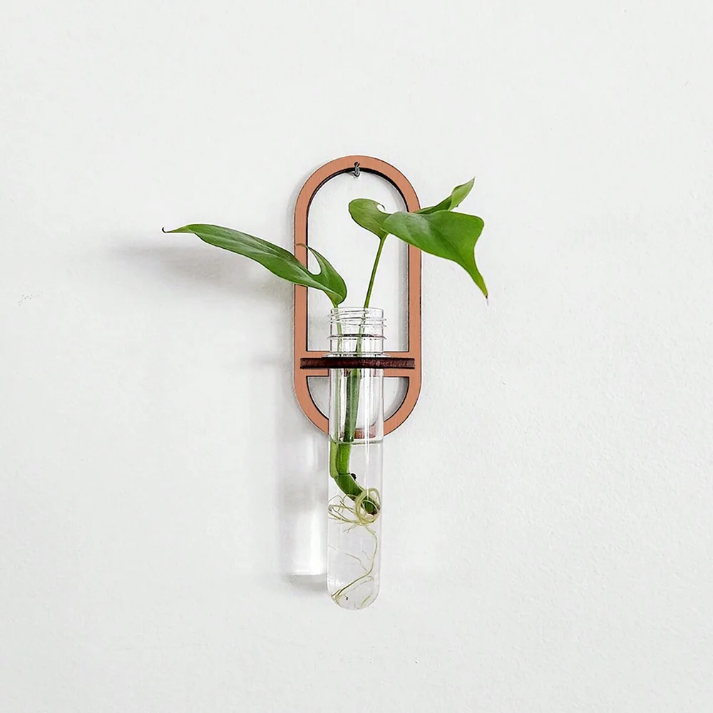 Plant Wall Vase Wooden Stand Hydroponic Plant Container Display Shelf Transparent Plant Hedge Garden Bedroom Home Decoration