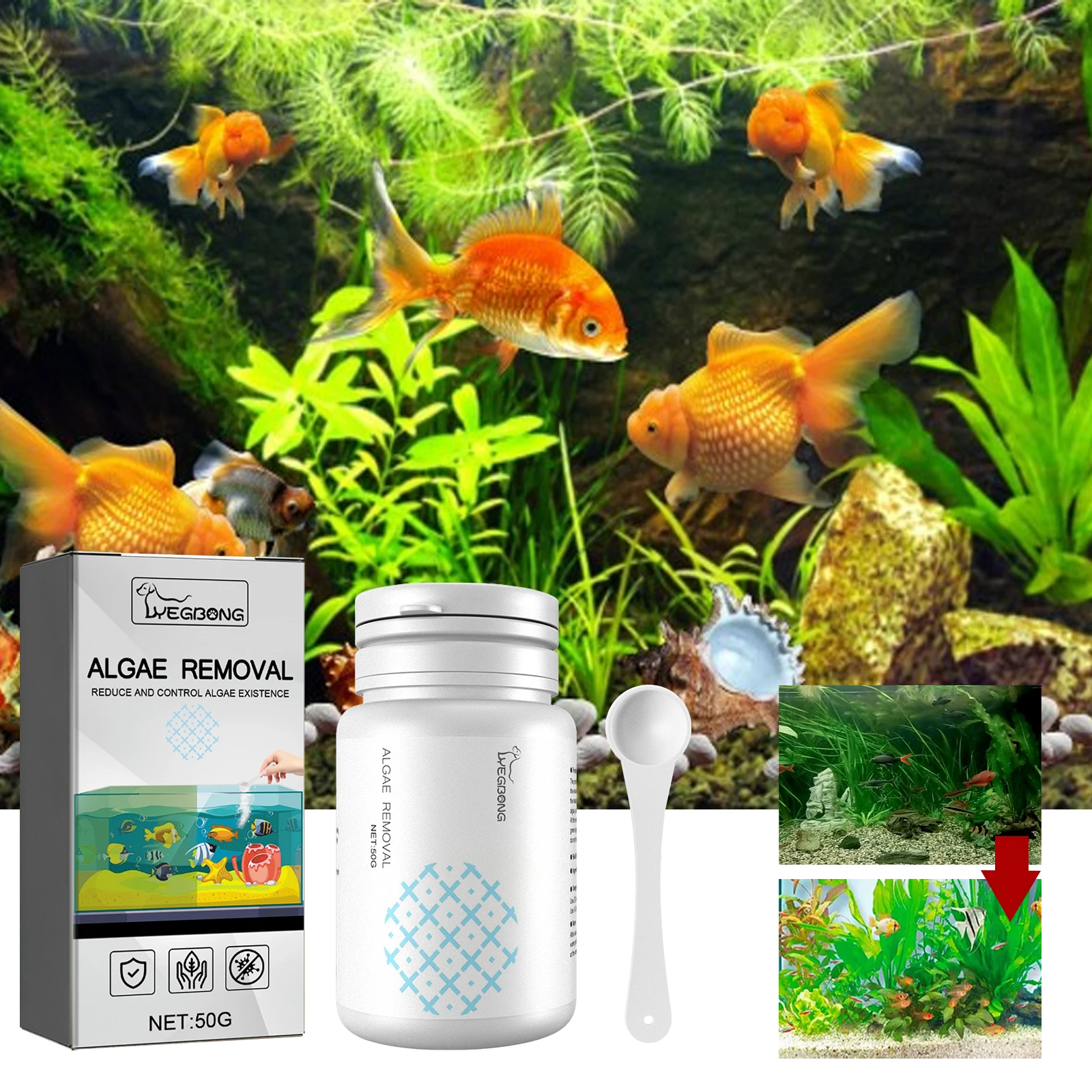 Algenentfernung, schnelles Ent – Marine Aquarium Bacteria Bewertung und Preis