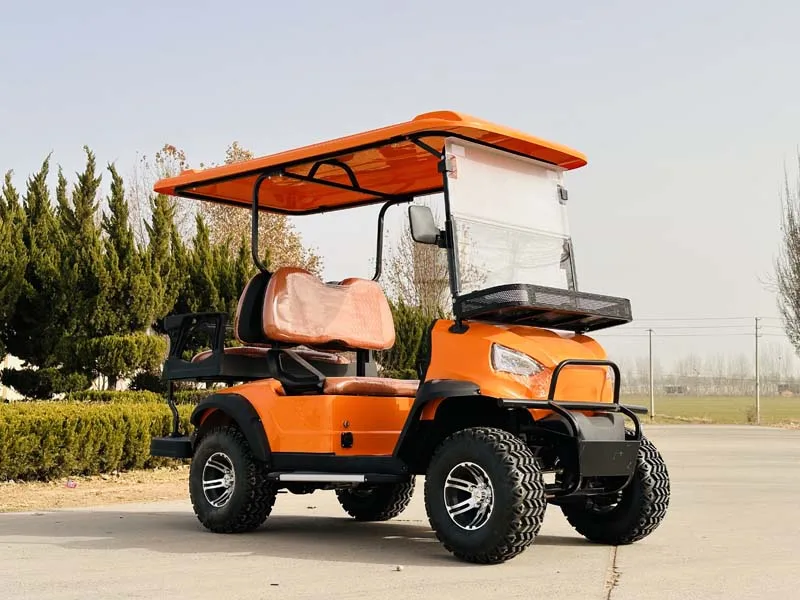 المصنع مباشرة عربة الغولف الكهربائية CE للبيع #5