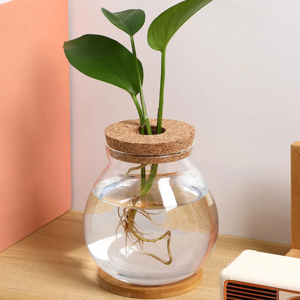 Hydroponic Glass Vase for Indoor Plants Transparent Desktop Propagation Vessel Glass Flower Container with Wooden Base