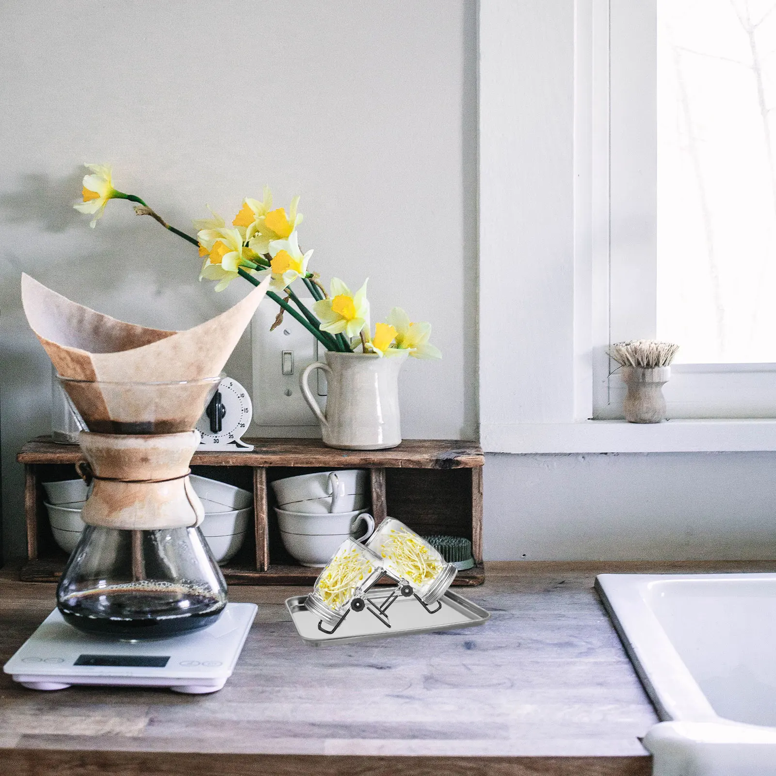 

2pcs Mason Jar Tray for Growing Durable Stainless Steel Plant Germination Trays Kitchen Use Sprout Maker