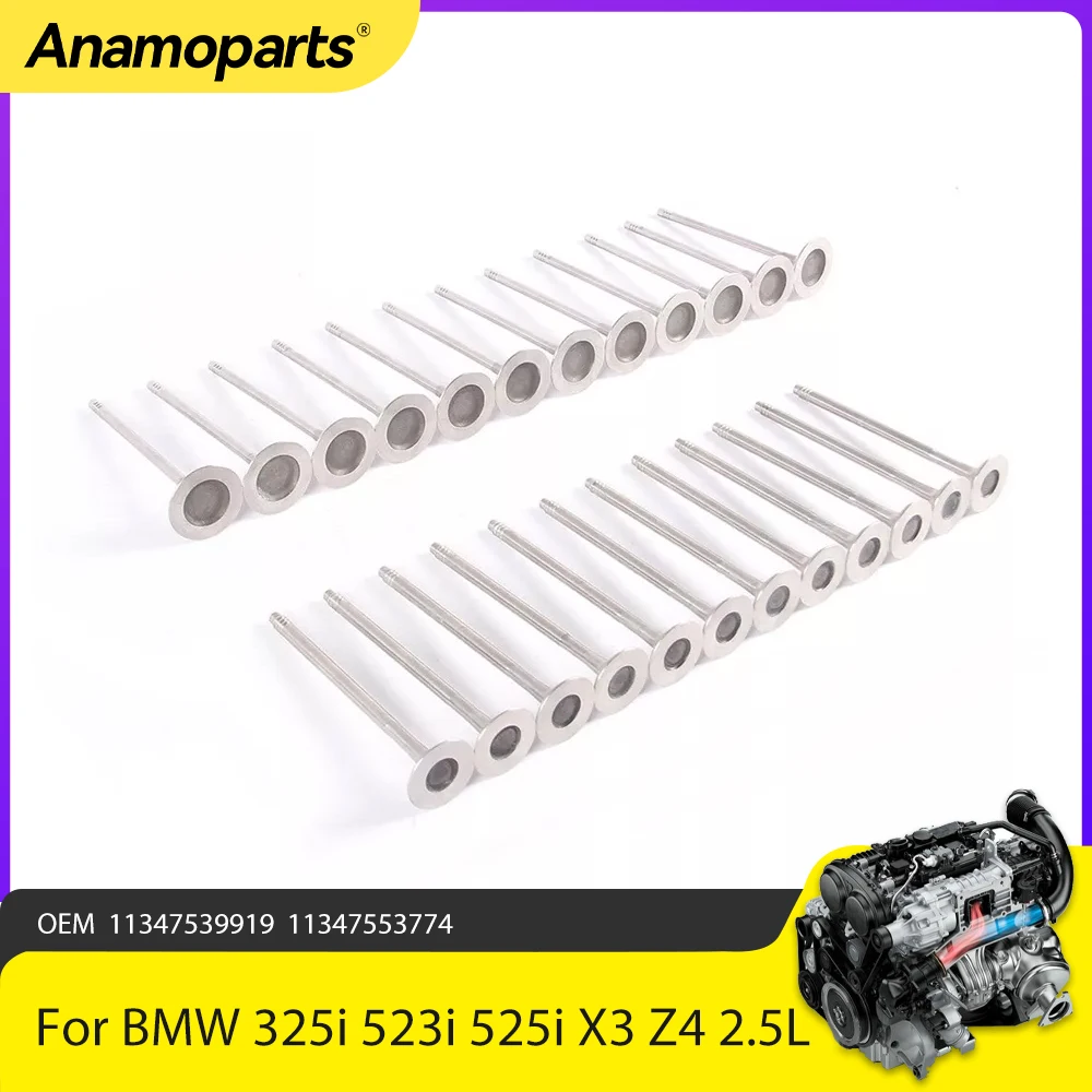 

Engine Parts Intake Exhaust Valve Fit 2.5 L Gas For BMW 325i 523i 525i X3 Z4 N52 B25 E89 E90 2.5L l6 DOHC 11347539919 2004-2013