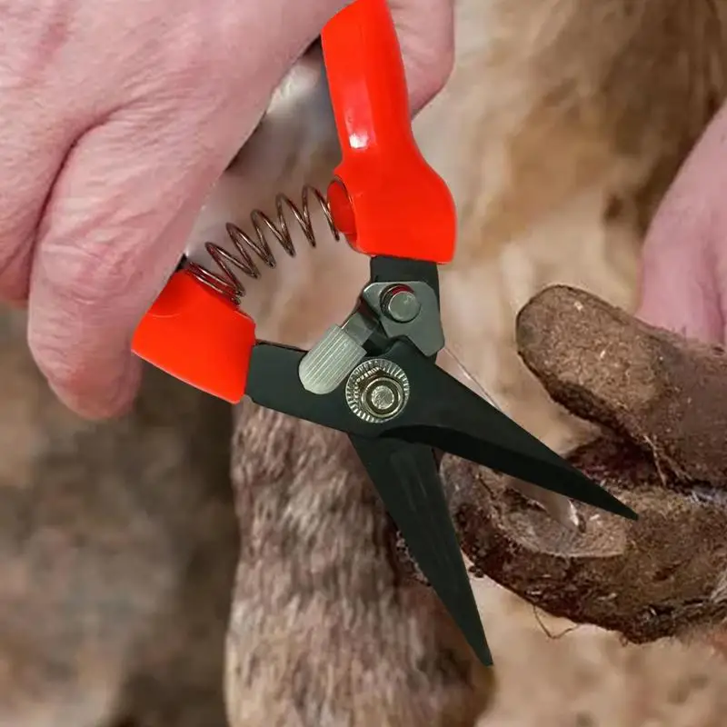 Imagem -04 - Cabra Sheep Hoof Aparar Tesouras Nail Clippers Sheep Arbusto Planta Poda Floral Cortar Tesouras Ferramentas de Tesoura de Jardim 22cm
