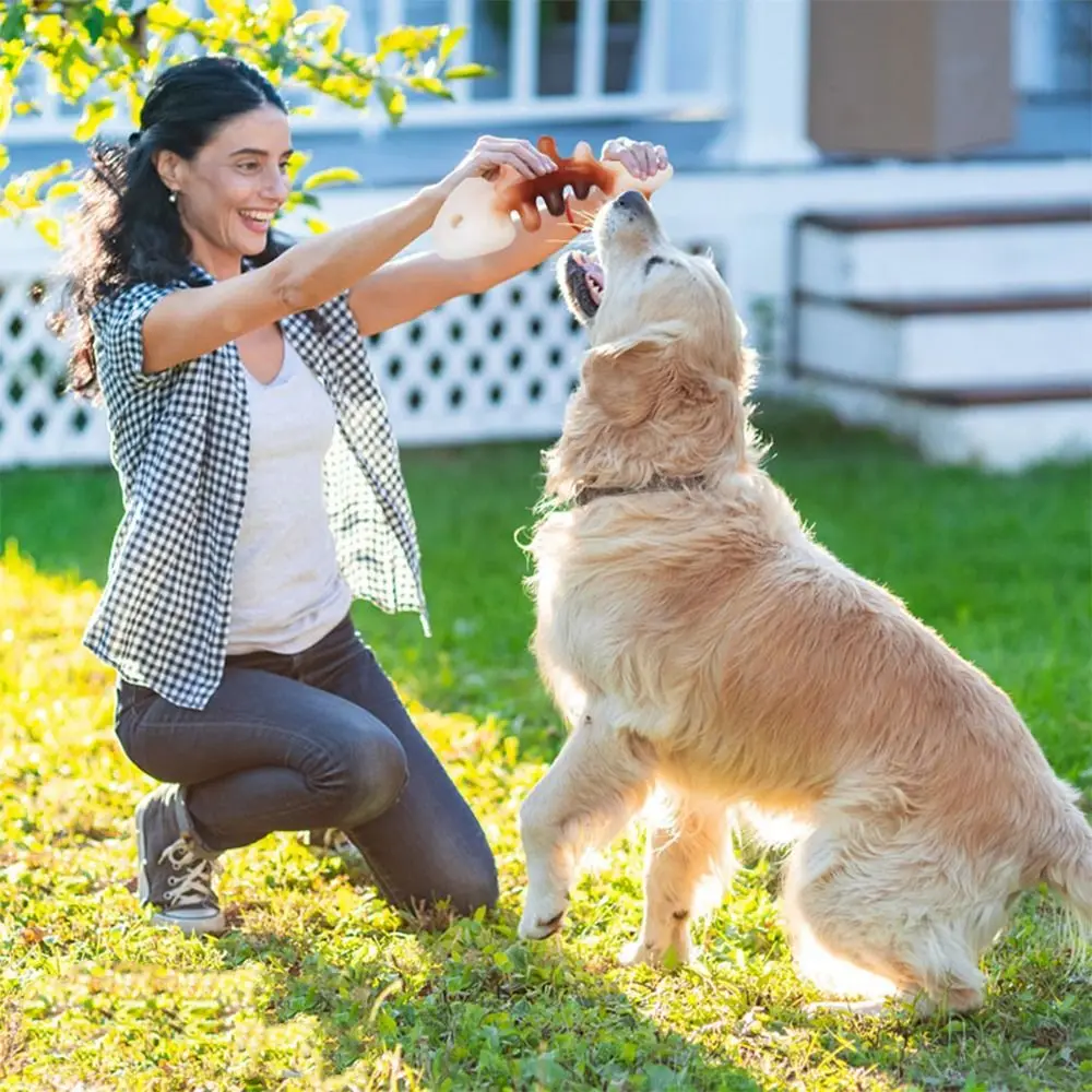 インタラクティブな骨の形をした犬のおもちゃ,大臼歯のおもちゃ,耐摩耗性,ナイロン製のペットの噛むおもちゃ,自己満足