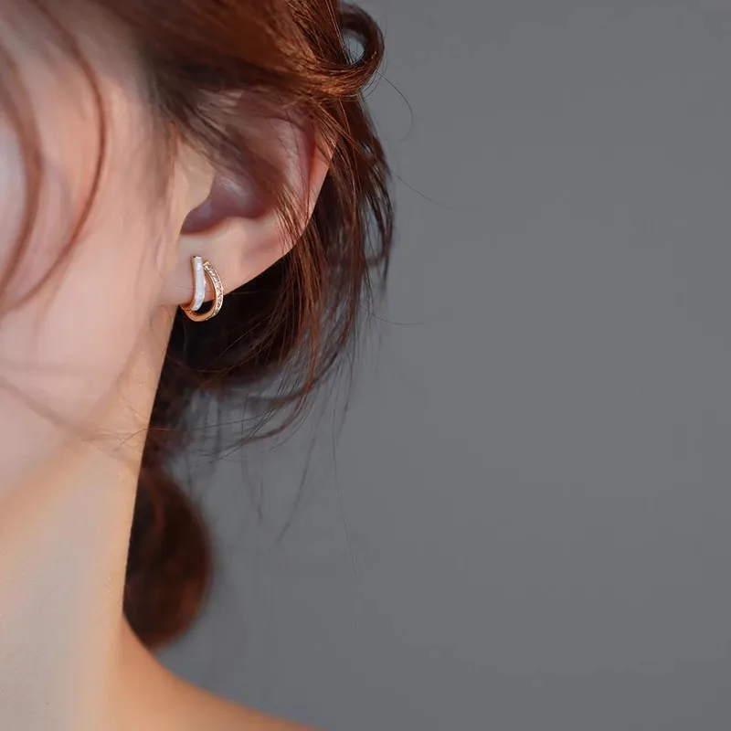 Needle Korean-Style Elegant Niche Unique 2025 New High-End Feel Earrings Women's Earring Wholesale