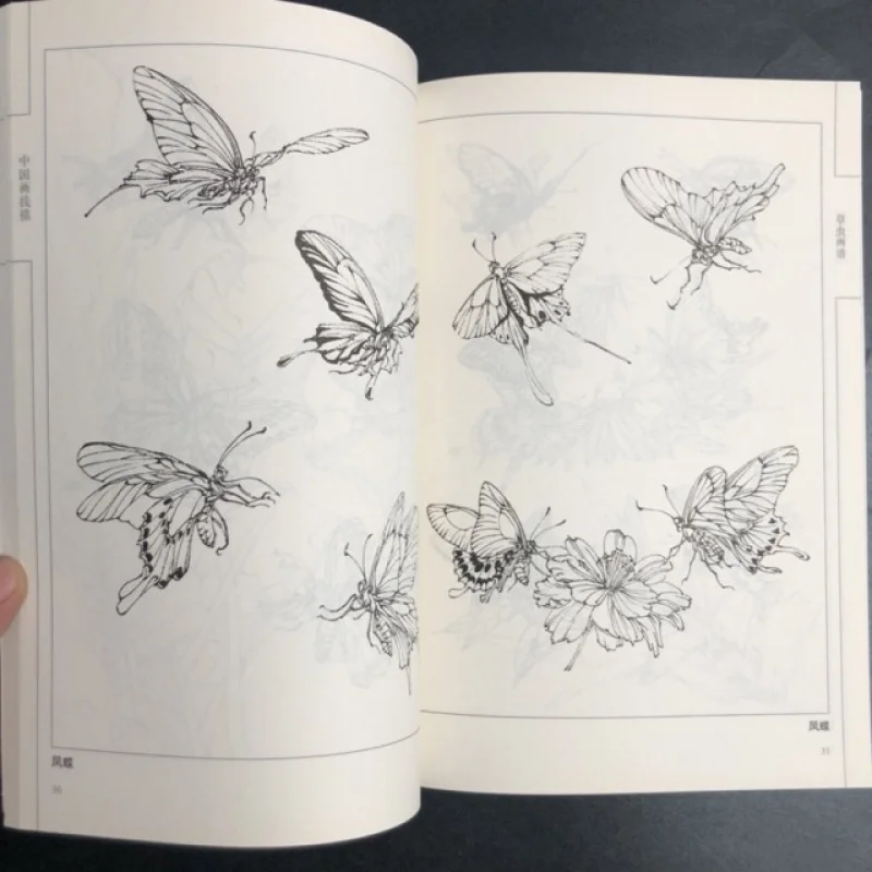 Coloring Book for Adults and Teens Featuring  with Easy and Simple Designs for Relaxation Chinese painting sketch