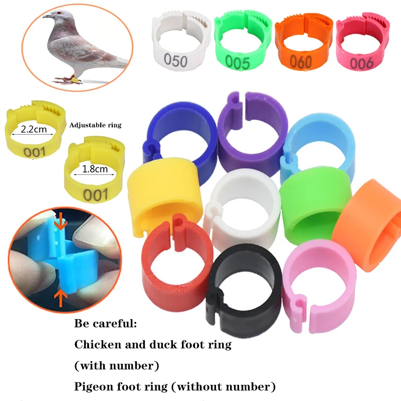 Poultry Leg Rings Chicken Foot Bands Adjustable Ratchet Clasp Snap Marking Tags for Duck Goose Pigeon Farm Feed Tool 25/100pcs view 4