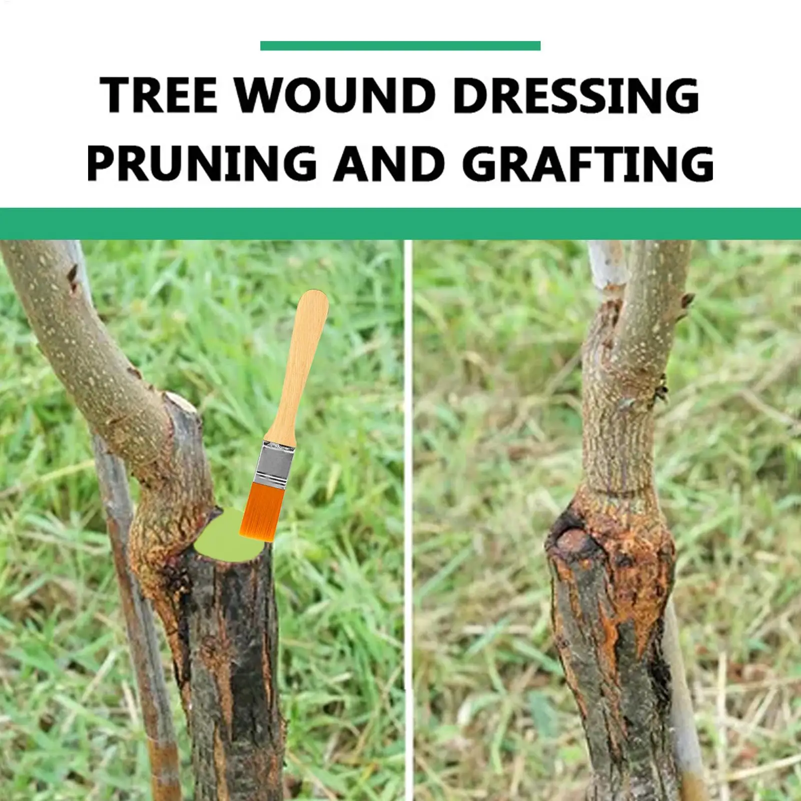 Tree Wound Sealer 100g Natural Protective Paste Tree Repair Paste Wound Dressing for Garden Yard Orchard Shrub Rose Plant