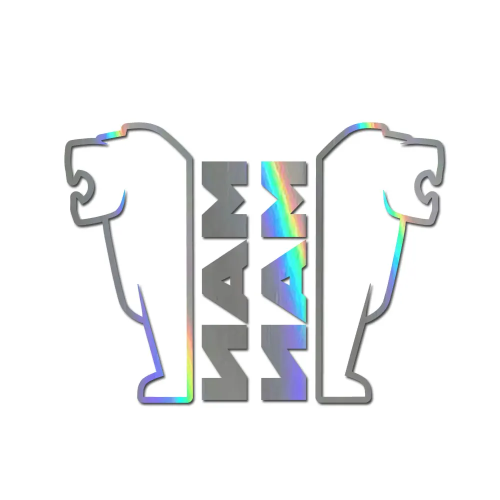 For Man Truck Windo…