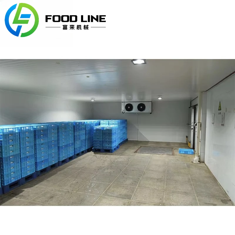 2025 Коммерческая бывшая в употреблении холодильная комната для мясника, холодильная комната для мясника, холодная комната для замораживания, холодное хранение