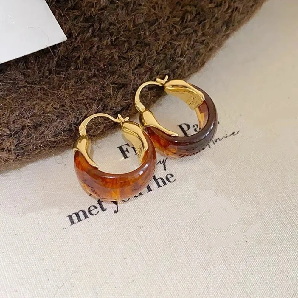 Pendant Amber Color Earrings Light Luxury Fashion Jewelry Vintage Women's Earrings Temperament Autumn Winter Amber Ear Stud