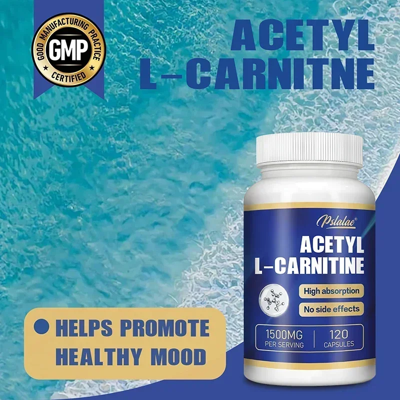 Acetyl L-Carnitine - Natural Energy Production, Increase Body Performance, Promote Metabolic, Supports Memory and ConcentrationS