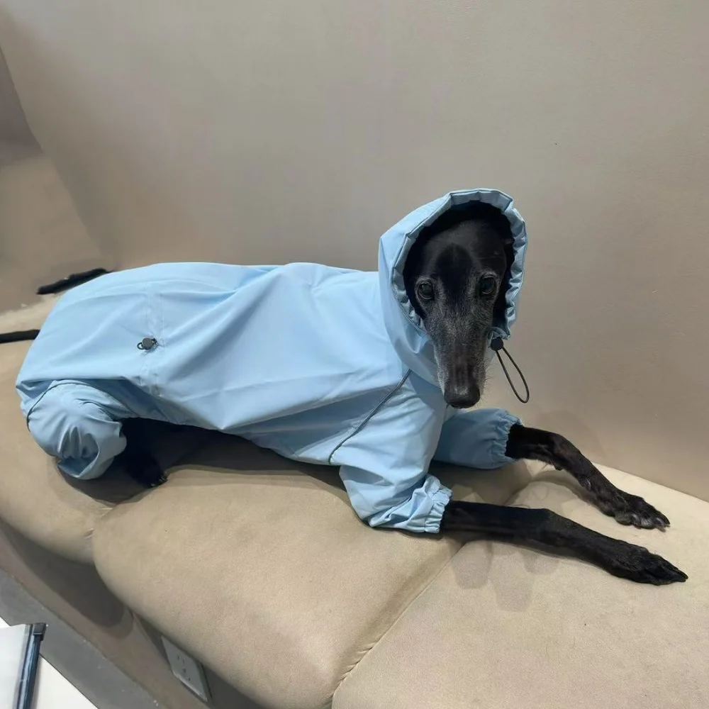 Frühling Sommer Blauer Regenmantel für Italienische Windhunde Winddichte Wasserdichte Jacke mit Rotem Reißverschluss für Whippets Reflektierender Streifenmantel – Detail 11