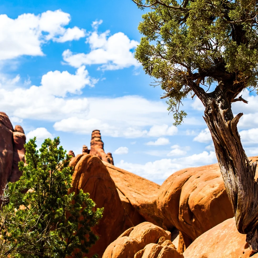 14.5 "اللاسلكية Carplay لشروليه جي إم سي سوبربان 2014-2020 أندرويد 14 راديو CarPlay مشغل فيديو الوسائط المتعددة GPS شاشة السيارات