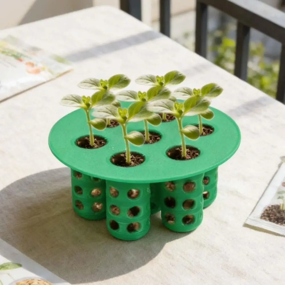 7-Hole Seed Germination Tray Easy Setup Space-Saving Garden Nursery Pot No Soil Plant Growing Tool