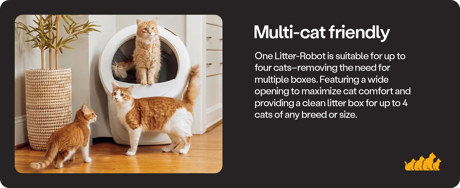 3_Multi-cat friendly