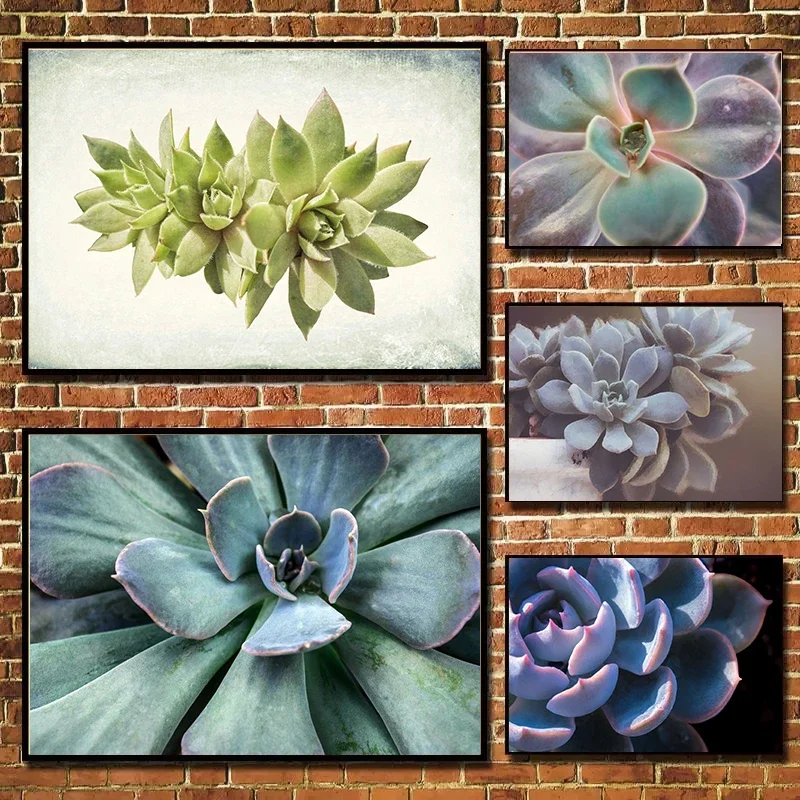 Lovely Succulent Pl…