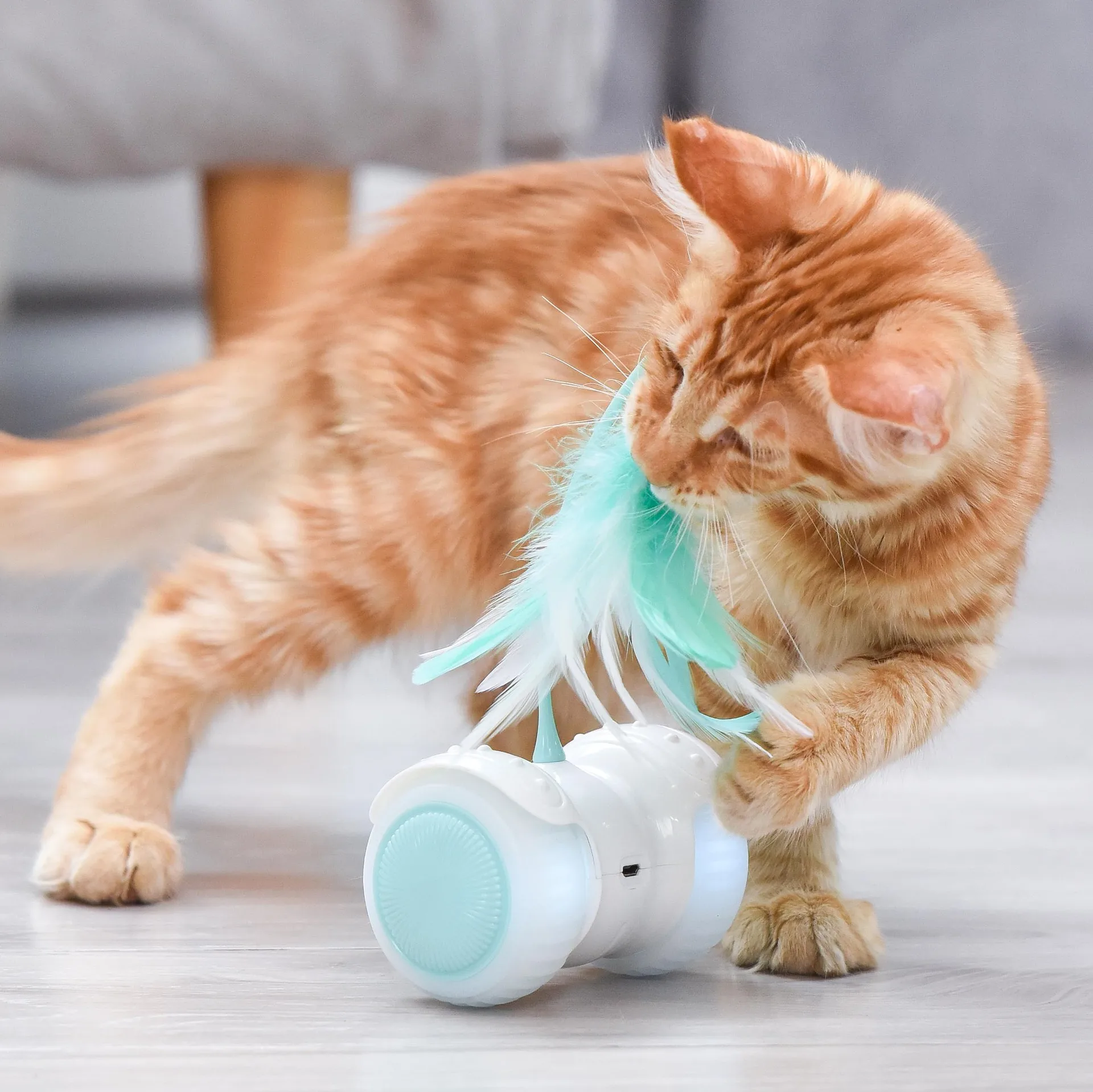 New Intelligent USB Wheel Cat Toy Remote Control Electric Pet Toy with Feather 360 Rotating Funny Interactive Style for Cats