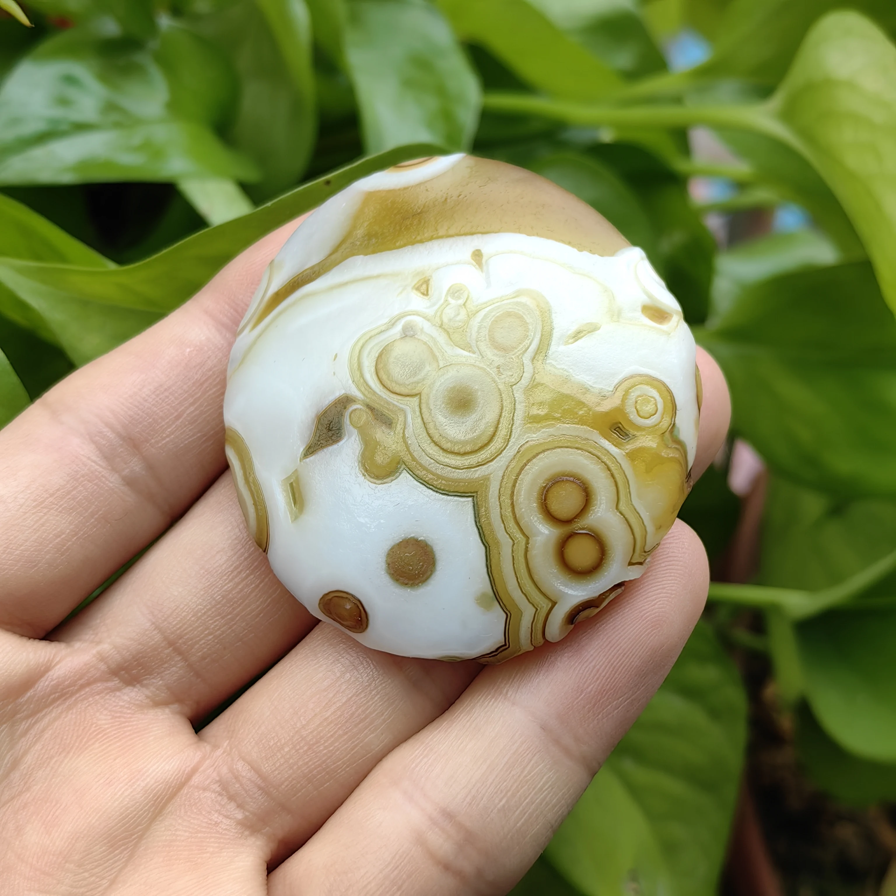 Authentic Unprocessed Divine Eye Agate Natural Gobi Palm Stone for Reiki Meditation, Home Protection & Luck Enhancement