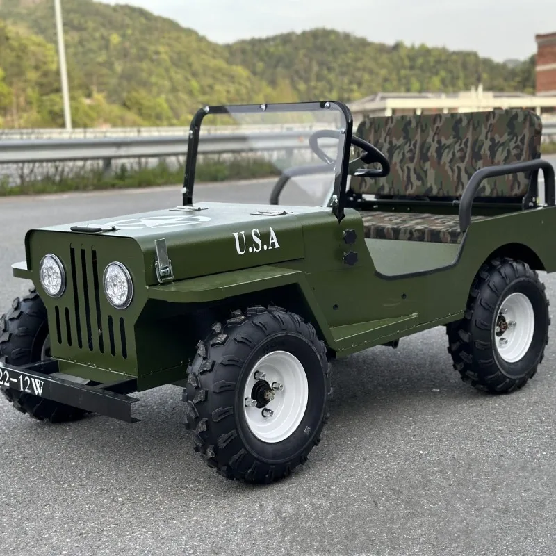 

48V 500W Motor 30km/h For Amusement Parks 2-Seater Willys Electric Go Kart