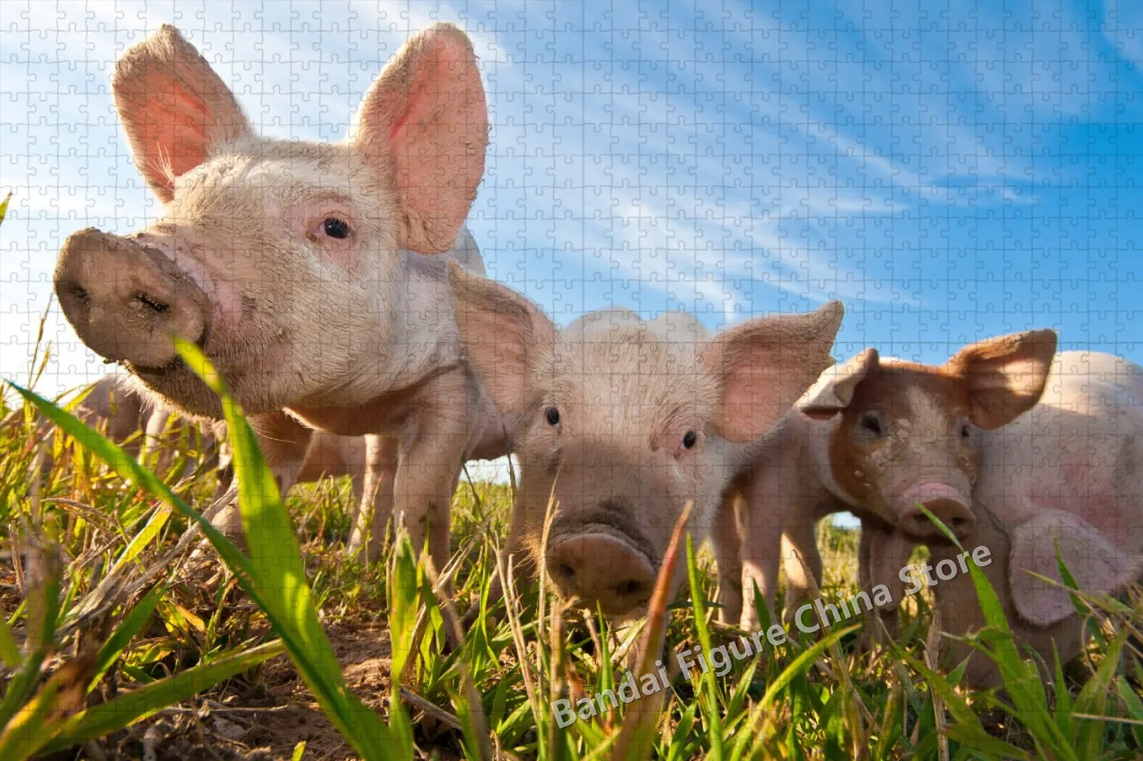 Boerderijdieren Schattige Dieren Print 35/300/500/1000 Stukjes Puzzel Huisdier Varken Koe Puzzel Voor Kinderen Decomprimeren Educatief Speelgoed