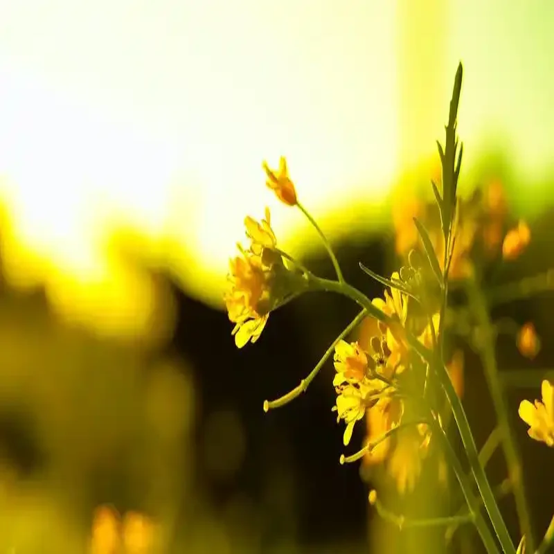 

Электрический привод багажника для Trumpchi GS5 2019-2023: автоматическое открывание, электромотор для багажника, аксессуары и инструменты для автомобиля