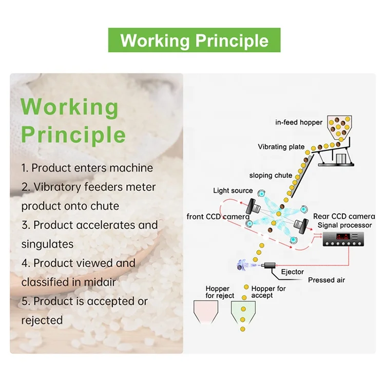 6SXZ-68L Сортировщик цветов AI для оптимальной организации Сортировщик форм AI для сортировки рисовых зерен Кофейные зерна Арахис по цвету