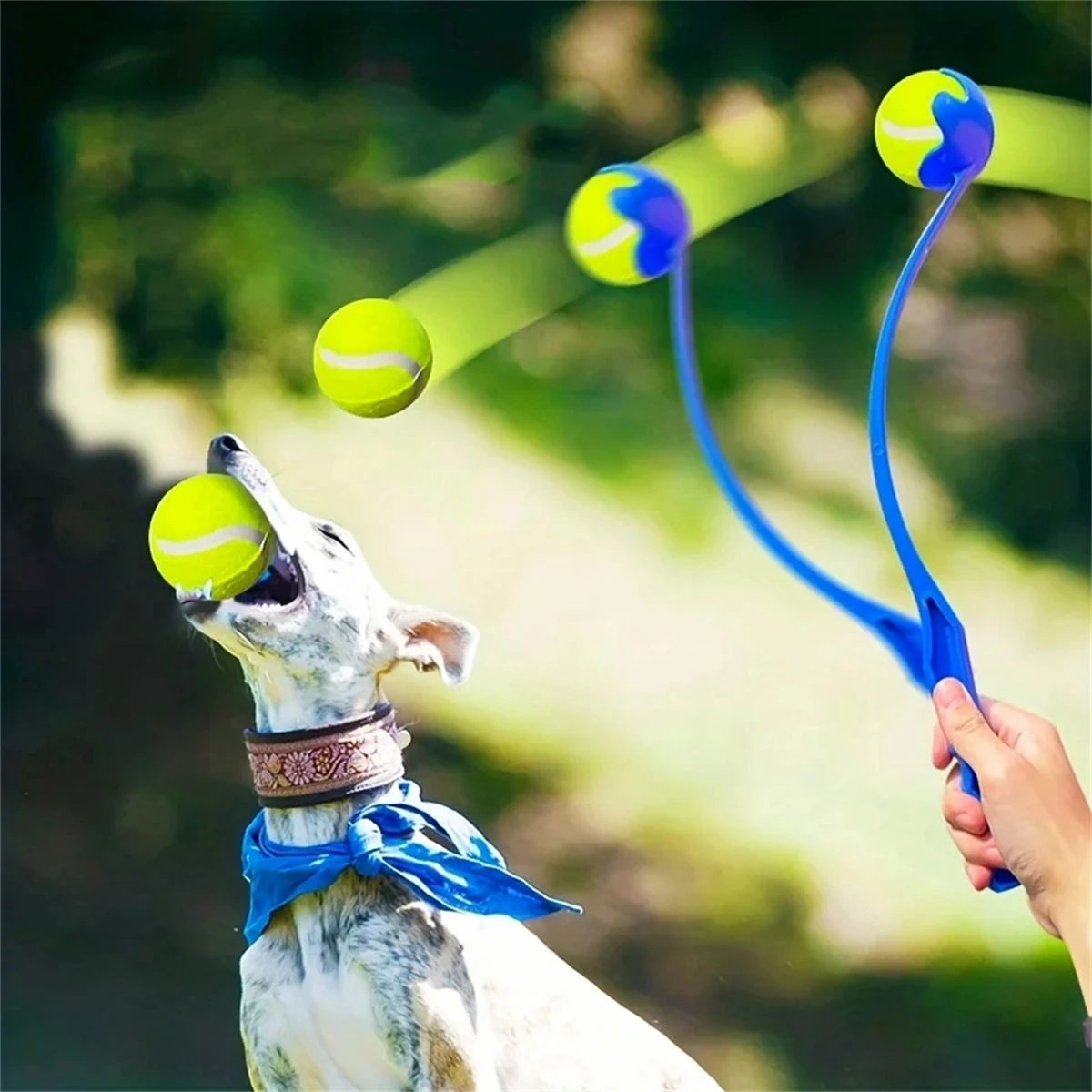 Thumbnail 2 - #34 Dog Fetch Toys Price Drop Alerts
