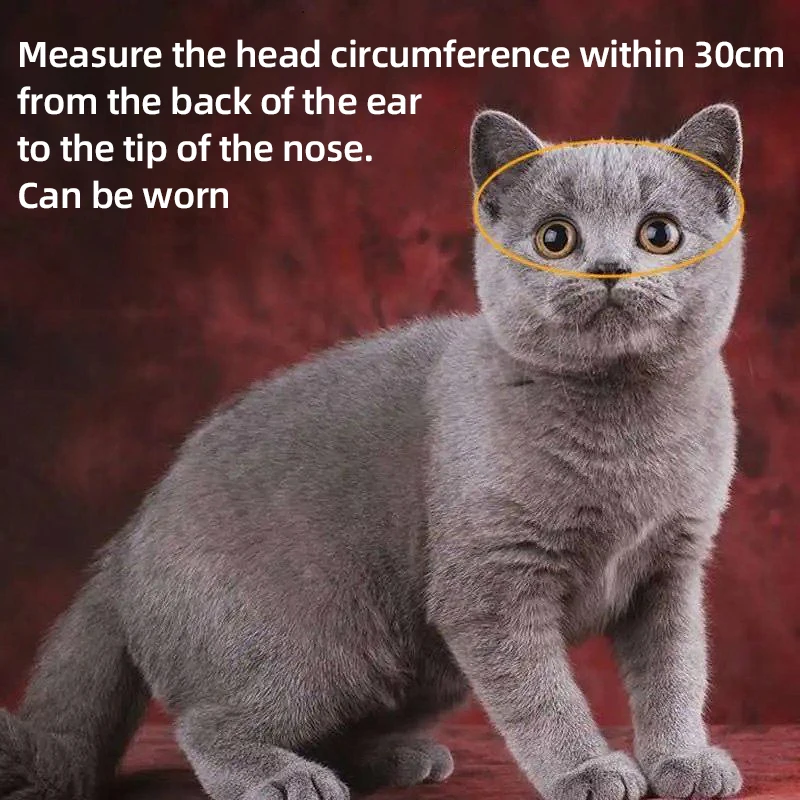 Pet Motorcycle Helmet Cat Dog Puppy Mini Helmets Full Face Motorcycle Mini Head Protecting Safe Hat,Pet Photo Props Accessorie