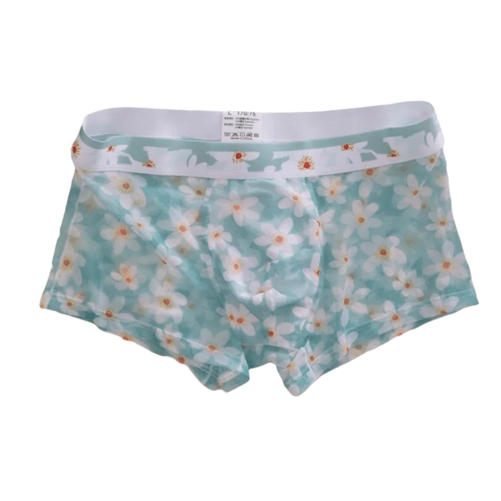 Comfortable Ice Silk Men Underwear Ultra Thin Transparent See Through Underwear Lingerie Summer Flat Pants Male Summer Season