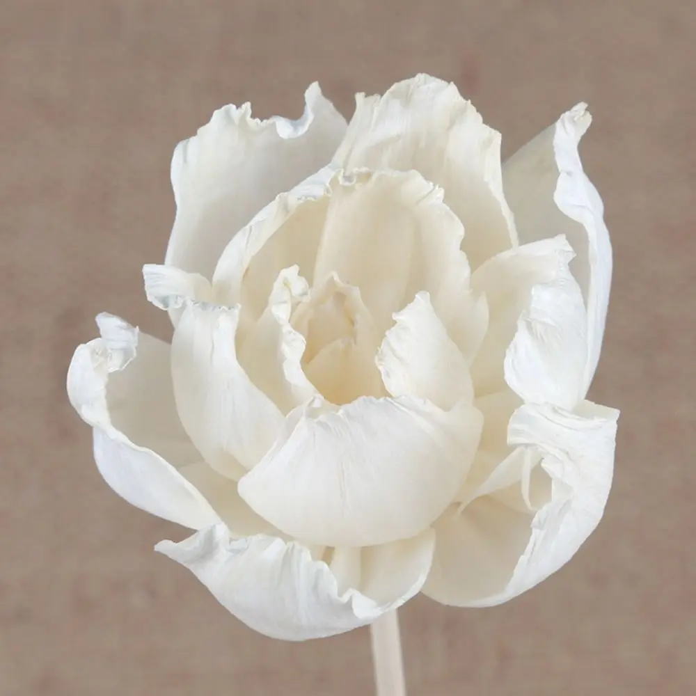 5cm Creative Natural For Aromatherapy Volatile Handmade Fragrance Diffuser Sticks Aromatic Incense Tongcao Flower Dried Flowers