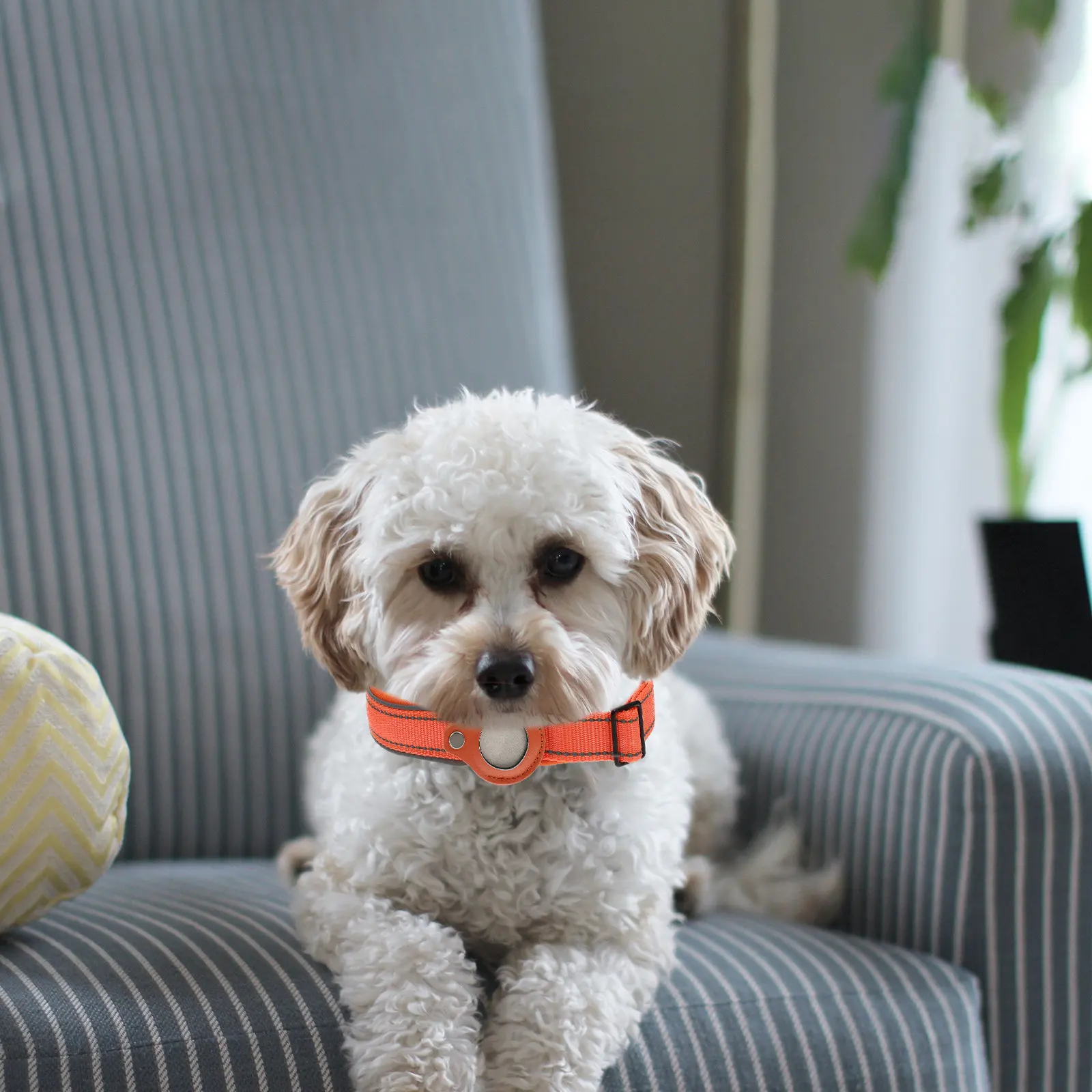 

1Pcs Pet Collar Protective Case Heavy Duty Shockproof Scratch Resistant Nylon Dog Holder for Outdoor Use