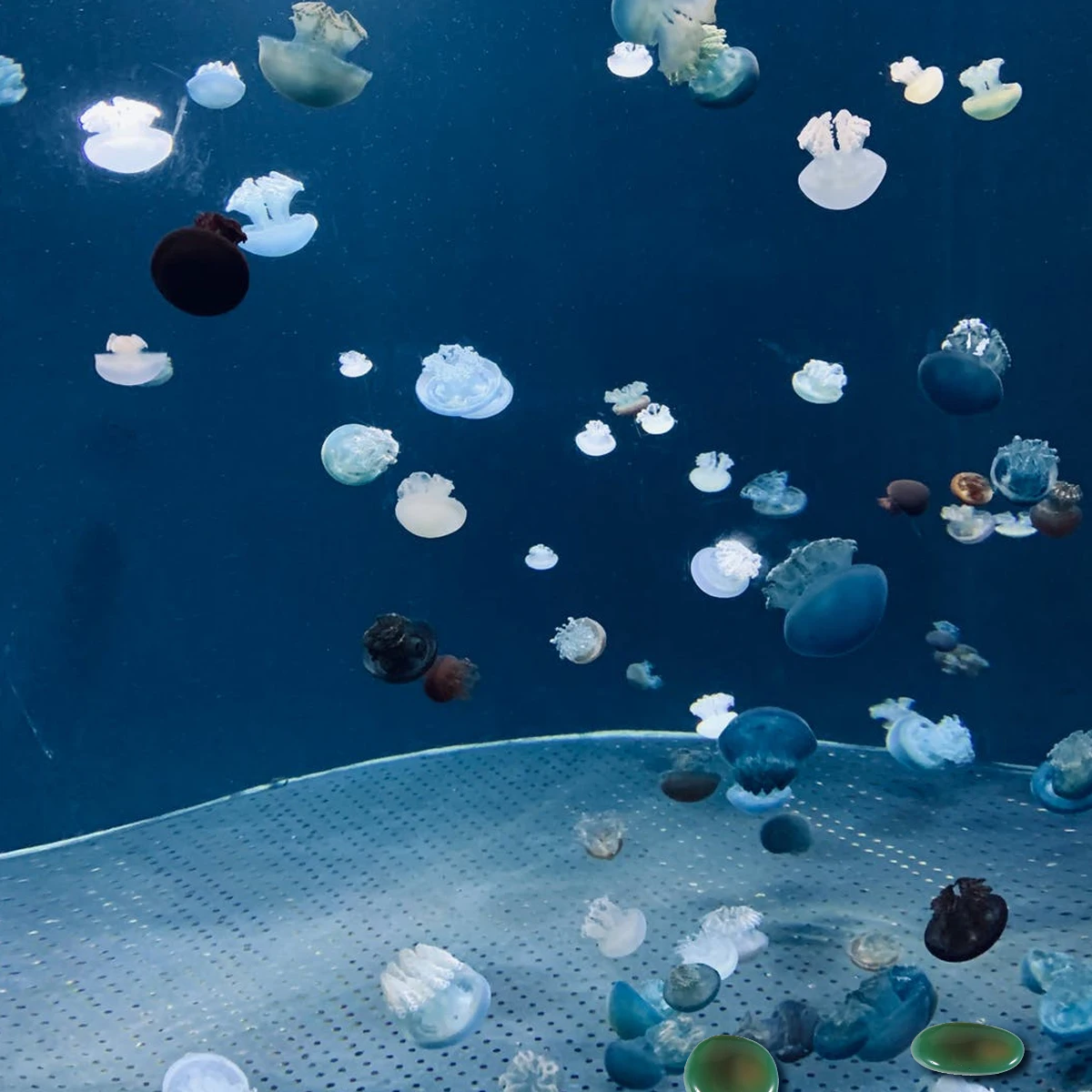 

1 Pack 500G Natural Polished Pebbles Aquarium Decor Fish Tank Gravel Stone Ornament 1-2Cm Round Multi-Color Water Tank