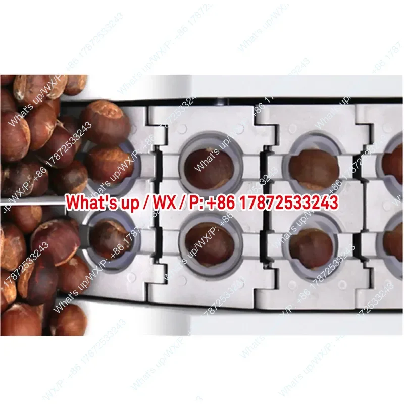 Professional Electric Chestnut Nut Shell Opener Machine Double Chain Link Hazelnut Slitting Cutter for Nuts Cutting