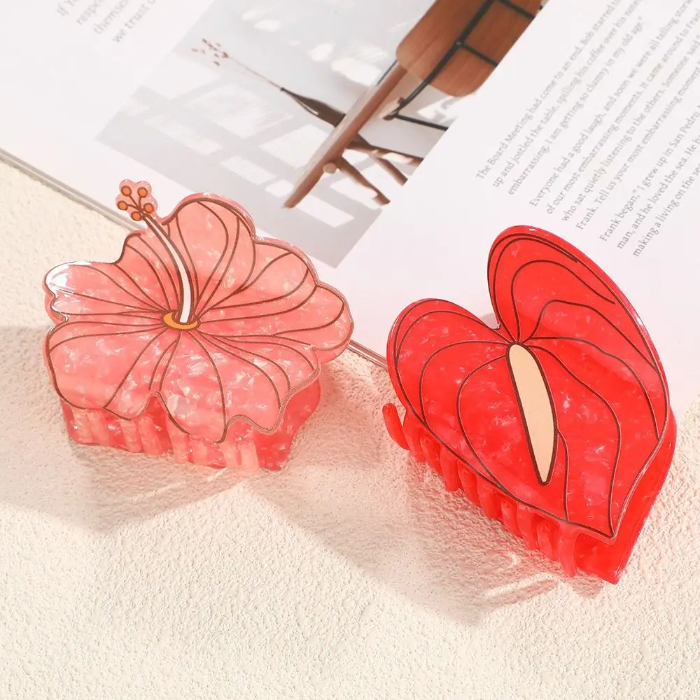 

High Quality 8CM Hair Claw Clip Dolphin Shell Series Jelly Color Back Head Headwear Hairpin Gift