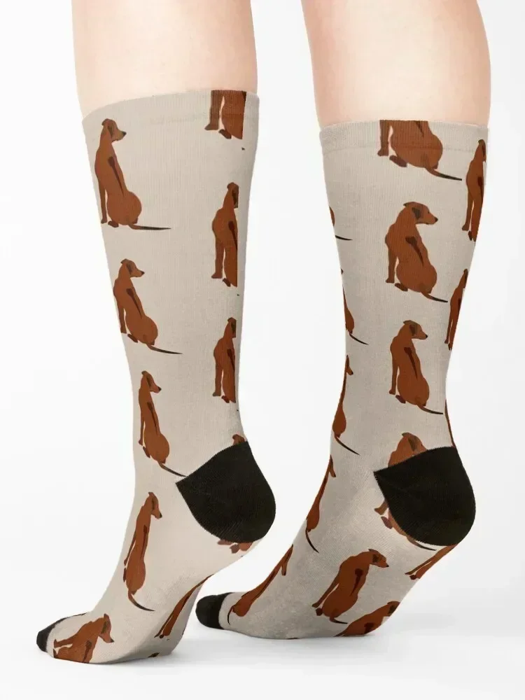 Rhodesian ridgeback Socks sports and leisure loose football new year Luxury Woman Socks Men's