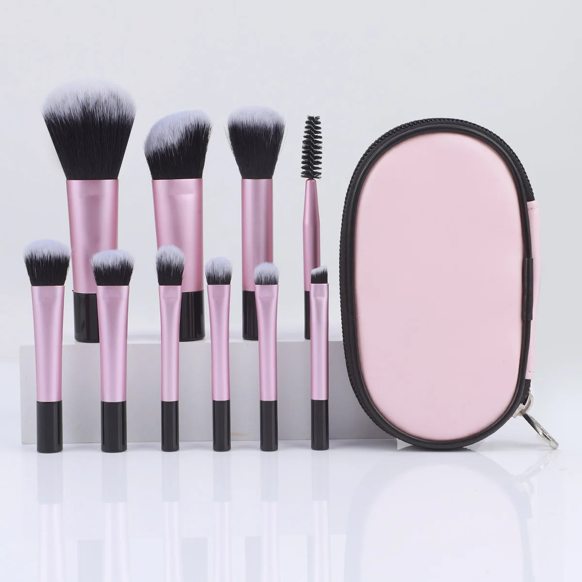 RANCAI Makeup Brush Sets,10pcs Plastic mini with bag multifunctional Makeup Brush at home or On-the-Go