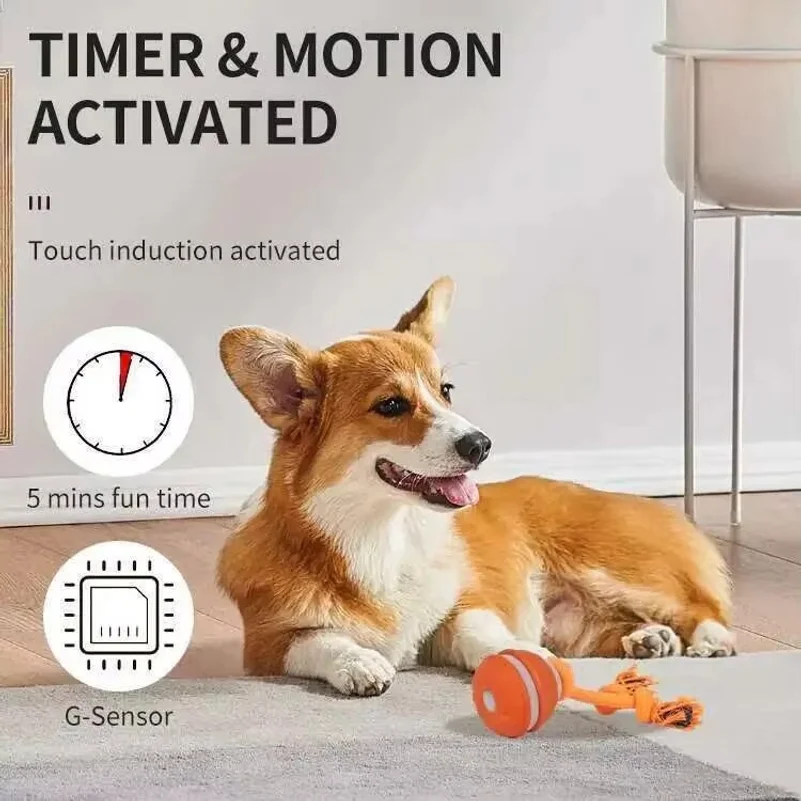 스마트 강아지 장난감, 움직임 감지 기능이 있는 자동 - Automatic Moving Dog Ball 리뷰 및 가격