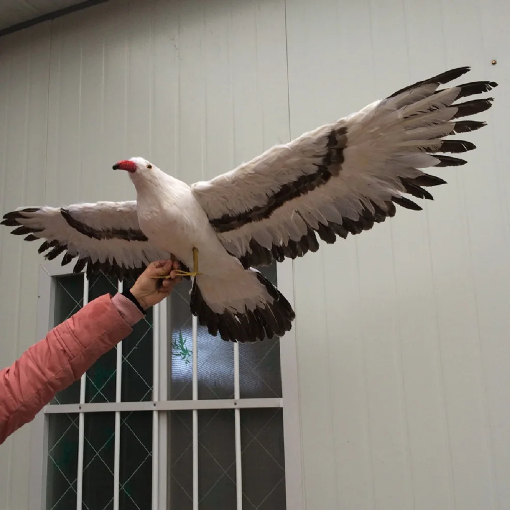 big real life seagull model foam&feathers spreading wings seagull, garden decoration gift about 50x100cmd2577