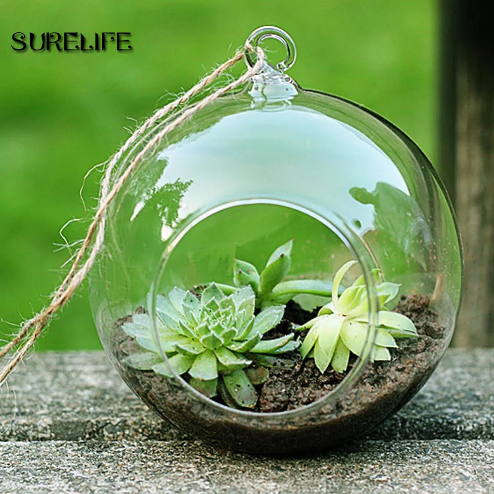 12pc 6/8cm Transparent Ball Globe Shape Clear Hanging Glass Vase Flower Plants Terrarium Container Micro Landscape DIY Wedding