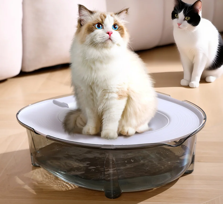 Kit d'apprentissage de la propreté pour chat, bac à litière portable réutilisable, toilette pour animaux amovible, bac à litière anti-éclaboussures