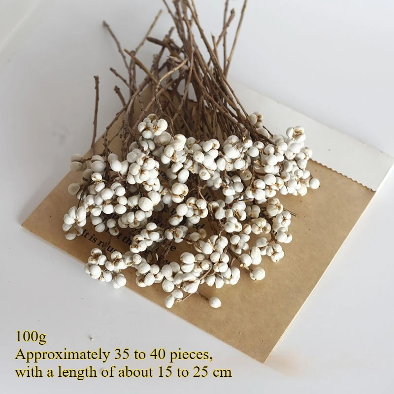 باقة زهور التوت الأبيض المجففة - فروع الفاكهة البيضاء المجففة الطبيعية، زهور ديكور المنزل البسيطة، زهور يدوية متعددة الاستخدامات #6